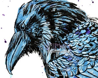 Original framed watercolour ink and gel pen raven painting
