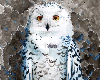 1 x snowy owl fantasy greetings card "Shaman"