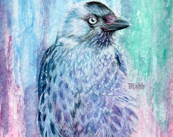 Top quality A5 art print "Naakka" Jackdaw crow painting 310gsm