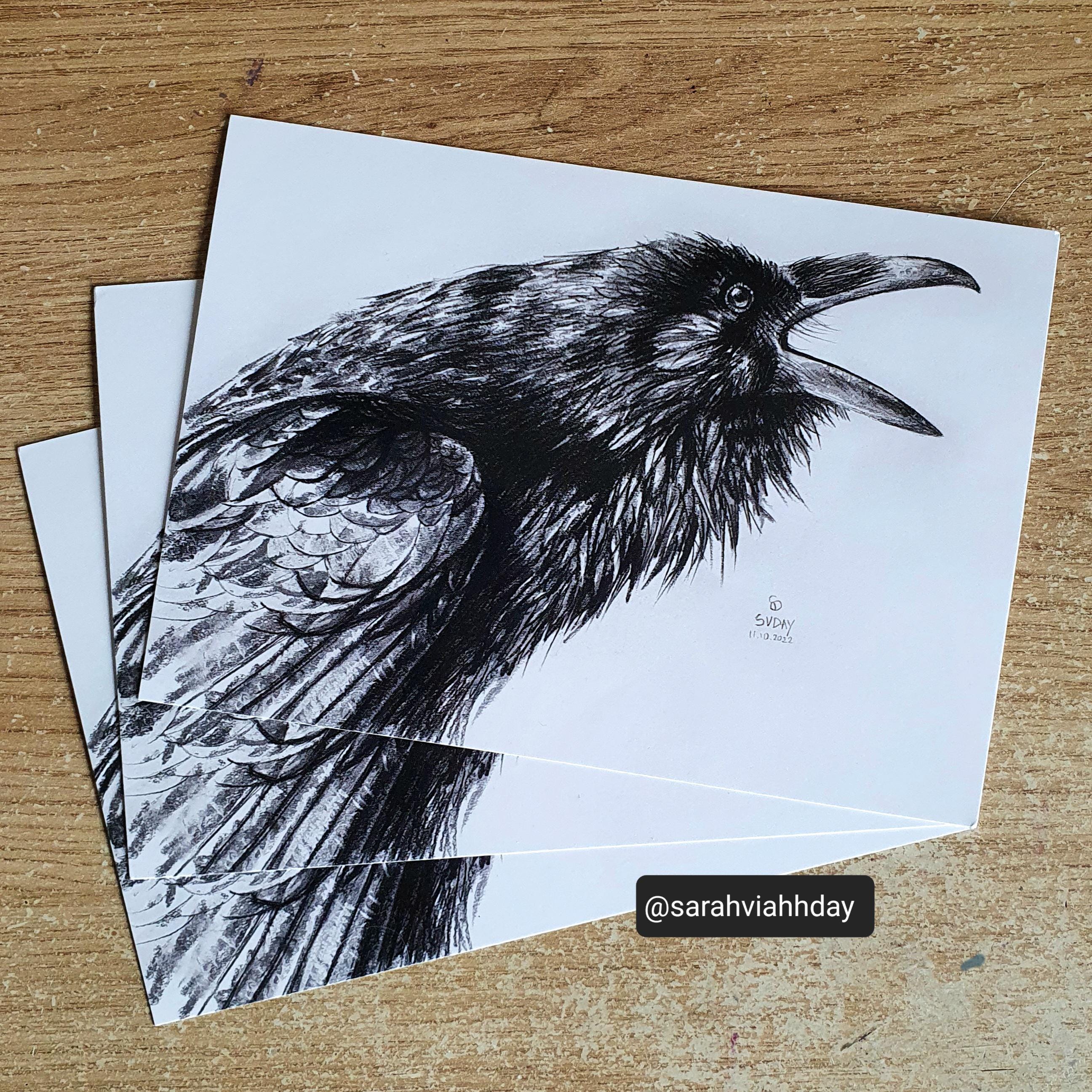 1 X Charcoal Raven Crow Postcard - Etsy