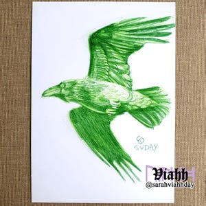 Dessin original à l'encre de corbeau sur carte postale renard aurores boréales