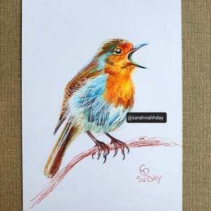 Dessin original à l'encre de robin européen sur carte postale renard aurores boréales