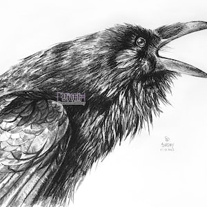 1 x carte postale corbeau corbeau au charbon