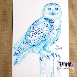 Dessin original à l'encre de harfang des neiges sur carte postale renard aurores boréales