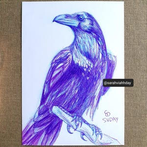 Dessin original à l'encre bleu et violet de corbeau sur une carte postale de renard aurores boréales