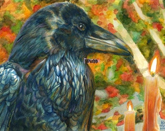one crow / raven blank greetings card "Akka"