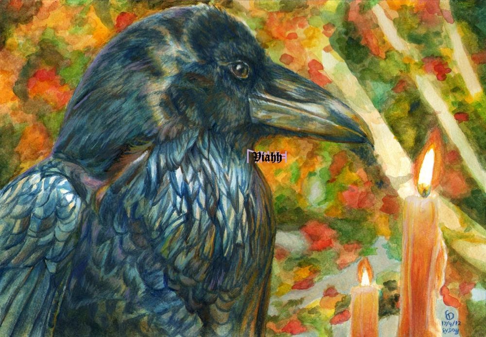 Akka Birthday Card - Etsy