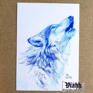 Dessin original à l'encre de loup bleu sur carte postale renard aurores boréales
