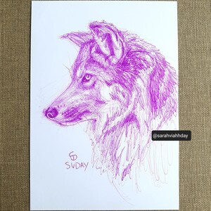 Carte postale originale Dessin à l'encre de chien-loup sur renard aurores boréales