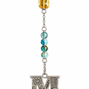 Può includere: Un ciondolo in metallo color argento a forma di lettera M appeso a una catenella d'argento. La lettera presenta motivi in rilievo di un girasole, uno stivale da cowboy, un cactus, un fulmine e una bandiera, con una pietra turchese.