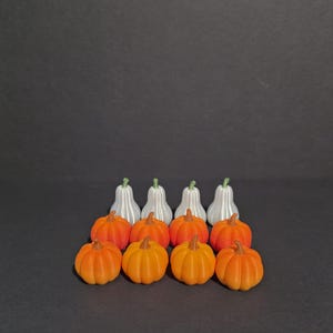 May include: A collection of twelve small decorative pumpkins arranged in three rows. The front and middle rows consist of eight round orange pumpkins with brown stems, while the back row features four white pear-shaped gourds.