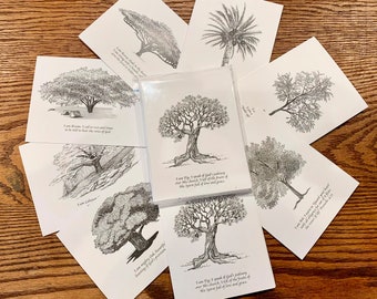 Pen and Ink Tree Notecards with envelopes by Marji Stevens