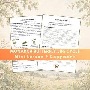 Può includere: Due schede didattiche intitolate The Monarch Butterfly con testo sul ciclo di vita, illustrazioni di un uovo, un bruco e una crisalide, e una sezione per ricalcare e copiare la frase sulle quattro fasi dello sviluppo.