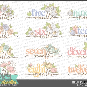 Monatlicher Meilenstein Clipart - Persönliche und limitierte kommerzielle Nutzung - Süßes Baby Mädchen Floral Monate Kunst