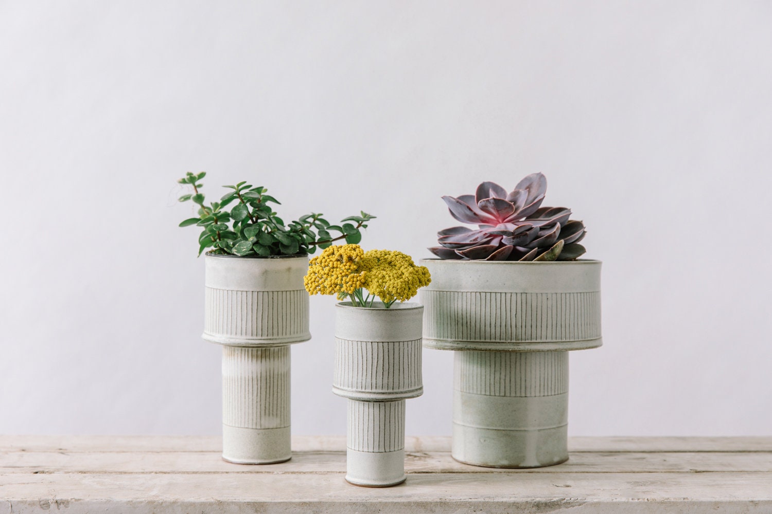 Ensemble de 3 Vases en Céramique Blanche, Ensemble de Trois Jardinières, Jardinières Succulentes, Mo