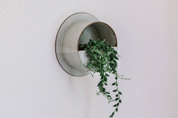 White Ceramic Wall Planter For Succulents Hanging Vertical - White Ceramic Indoor Wall Planter White Ceramic Wall Planter For Succulents Hanging Vertical - White Ceramic Indoor Wall Planter