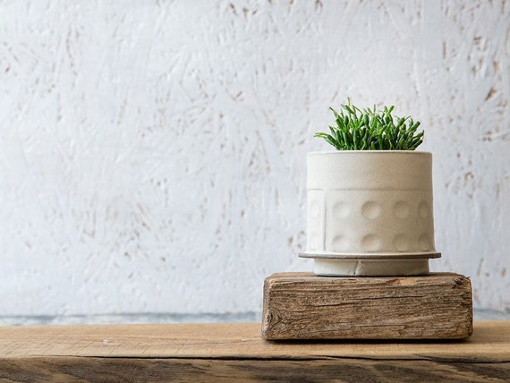 White Ceramic Planter Small Succulent Planter Pot Indoor Air Etsy