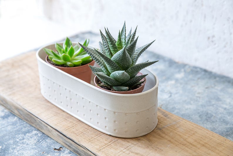 White Ceramic Planter Large Succulent planter Modern ...