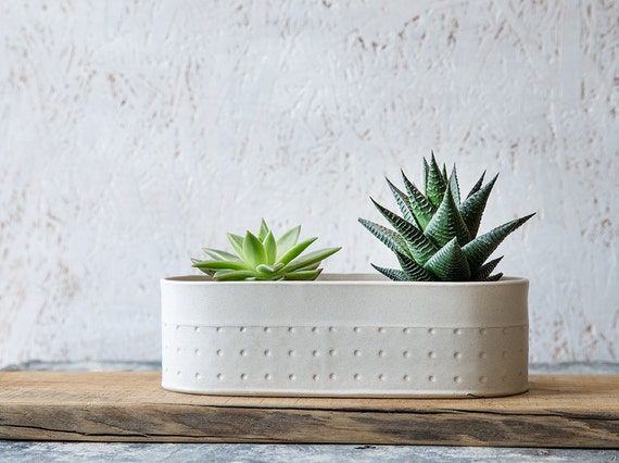 White Planter Large Succulent Planter Modern Ceramic - Etsy