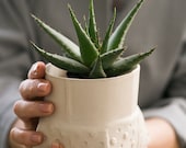 Jardinera de cerámica blanca, Jardinera de textura moderna, Jardinera suculenta, Maceta de cerámica blanca, Jardinería de interior, Regalo de cerámica, LISTO PARA ENVIAR