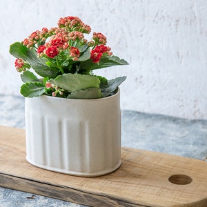 Planter Pot, White Ceramic Planter, Ceramic Succulent Planter, Planter Pot, Pottery Planter, Brushes holder, White pen holder image 1