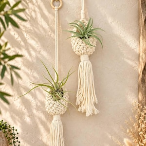 May include: Two off-white macrame plant hangers featuring knotted cord baskets, each suspended from a circular wooden ring. Each hanger holds a green air plant and terminates in a long, thick fringe tassel hanging vertically against the wall.