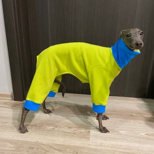 Italian Grejhound Fleece pajamas / Blue-Lime color / Size L