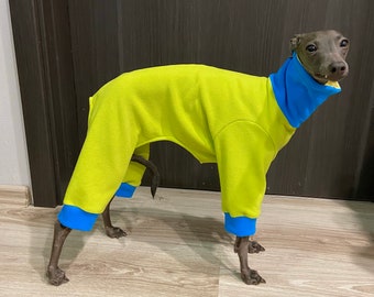 Italiaanse Grejhound Fleece pyjama's / Blue-Lime kleur / Maat L