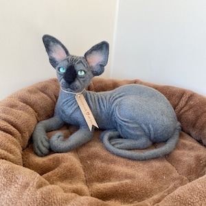 Puede incluir: Figura de gato esfinge hecha a mano en fieltro en tonos grises, con orejas grandes y llamativos ojos verdes. El gato está tumbado en una cama marrón para mascotas. Una etiqueta dice "Handmade with love".