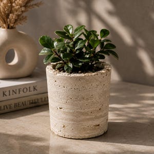 May include: A cylindrical planter made of beige, porous travertine stone with a rough, textured surface. The planter contains a small, leafy green plant with rounded, glossy foliage. The stone features natural horizontal banding and pits.