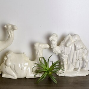 May include: Three white ceramic camel figurines. The camels are in various poses, with one standing and two lying down. The camels have saddles and blankets on their backs. The figurines are on a wooden surface.