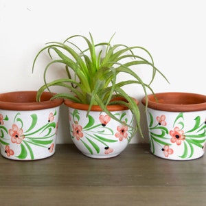 May include: Three terracotta flower pots with white painted floral designs. The pots are decorated with green leaves and pink flowers. A small air plant is in the center pot.