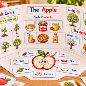 Puede incluir: Un tablero educativo plegable titulado The Apple, con secciones sobre colores, el ciclo de vida, productos derivados y el manzano en las cuatro estaciones. Un diagrama central etiqueta las partes de la manzana: semillas, tallo, corazón, piel, hoja, pulpa y flor.