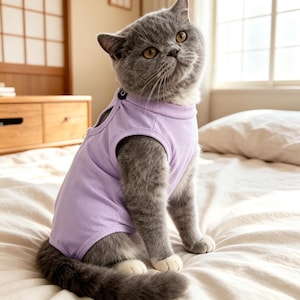 Könnte beinhalten: Eine graue Katze mit bernsteinfarbenen Augen trägt einen hellvioletten ärmellosen Body. Das Kleidungsstück hat einen gerippten Rundhalsausschnitt, einen kleinen schwarzen Druckknopfverschluss an der Schulter und Armausschnitte. Der Stoff ist glatt.
