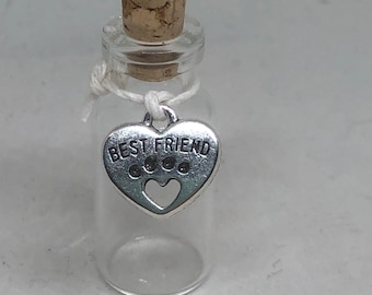 Pet Memorial Keepsake Vial for Fur.  Glass Bottle with Best Friend Charm,  Dog or Cat Loss Sympathy Gift