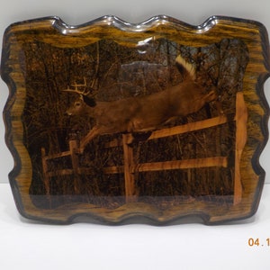 Vintage White Tail Buck Wooden Wall Hanging (28) Glazed Picture