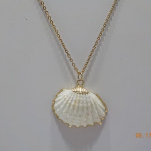 Vintage Sarah Coventry Clam Shell Pendant Necklace 9235 16 Coventry Chain image 3
