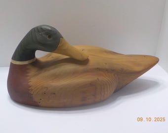 Vintage French Broad River Decoy Company---Mallard Duck Decoy--R. Livingston, North Carolina