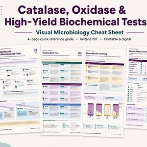 May include: A four-page microbiology reference guide titled Catalase, Oxidase & High-Yield Biochemical Tests. The document features charts, diagrams, and text explaining various laboratory testing procedures, reaction patterns, and common results.