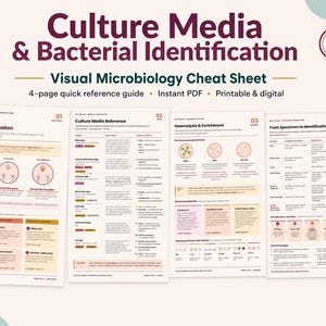 May include: A four-page microbiology reference guide titled Culture Media & Bacterial Identification. The document features charts, diagrams, and text explaining culture media types, haemolysis patterns, and laboratory workflows for bacterial analysis.