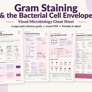 May include: A four-page microbiology cheat sheet titled Gram Staining & the Bacterial Cell Envelope. The document features diagrams, charts, and text explaining staining steps, cell structures, related concepts, and interpretation troubleshooting.