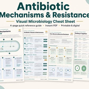 May include: A four-page digital microbiology cheat sheet titled Antibiotic Mechanisms & Resistance. The document features diagrams, tables, and text explaining bacterial targets, antibiotic classes, resistance mechanisms, and summary data.