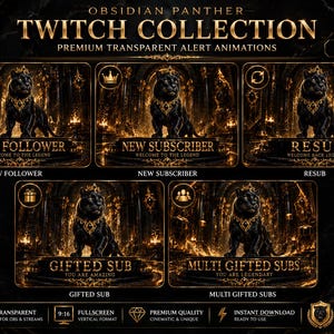 Obsidian Panther Twitch-varningar paket 1 av 2 | Animerade stream-varningar | Följ, prenumerera, återanvänd och ge en prenumerant | Transparent WebM OBS