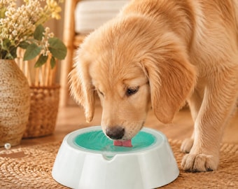 Cooling Pet Bowl | Condensed Bead Feeding Dish for Hot Weather Mealtimes