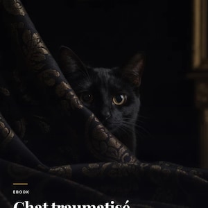 May include: A black cat peeking from behind a black fabric with a gold floral pattern. The text reads EBOOK, Chat traumatisé, Reconstruire la confiance après un passé difficile, par Refuge le Domaine des Coeurs Libres in white and gold.