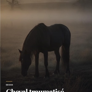 May include: An ebook cover featuring a dark silhouette of a horse grazing in a misty, fog-covered field at dawn. The text reads EBOOK, Cheval traumatisé, Reconstruire la confiance après un passé difficile, and par Refuge le Domaine des Coeurs Libres.