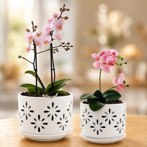 Ceramic Plant Pot, White Glazed Finish with Matching Saucer, 5 & 6 Inch