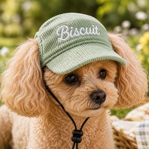 Puede incluir: Una gorra de béisbol de pana verde salvia con la palabra Biscuit bordada en letra cursiva blanca en el panel frontal. La gorra incluye una correa de barbilla negra ajustable con un cierre de plástico para una mascota.