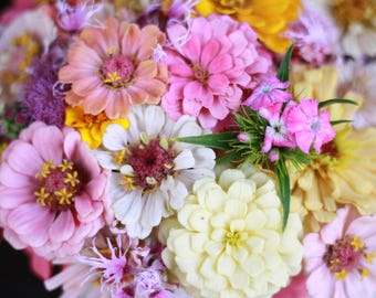 Könnte beinhalten: Ein lebendiges Blumenarrangement mit einer dichten Ansammlung von Zinnien in den Farben Zartrosa, leuchtendem Magenta, Blassgelb und Cremeweiß, durchsetzt mit kleinen, zarten violetten und rosafarbenen Nelkenblüten und grünem Blattwerk.