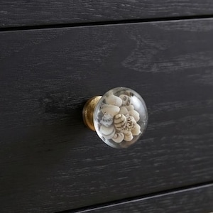 May include: A round, clear glass cabinet knob containing a cluster of small, natural-colored seashells. The knob features a metallic gold-toned base and is attached to the front of a dark, black-stained wooden drawer with a visible wood grain texture.